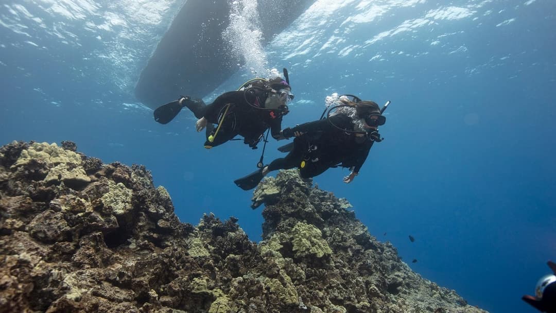 Taucher schwimmen während des Drift-Dive-Trainings unter dem Boot
