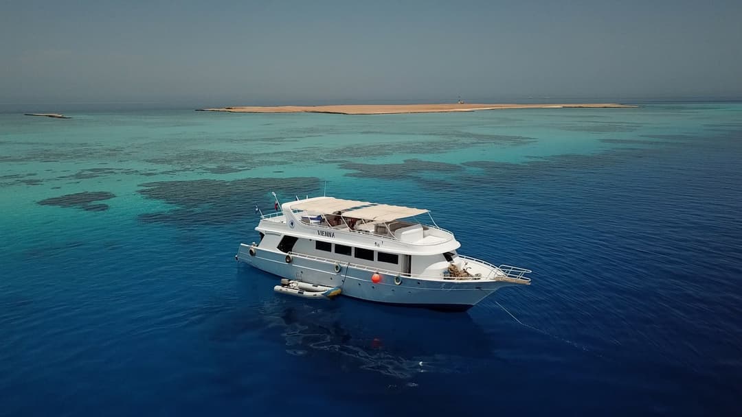 Blue Brothers Tagesboot ankert im türkisfarbenen Roten Meer