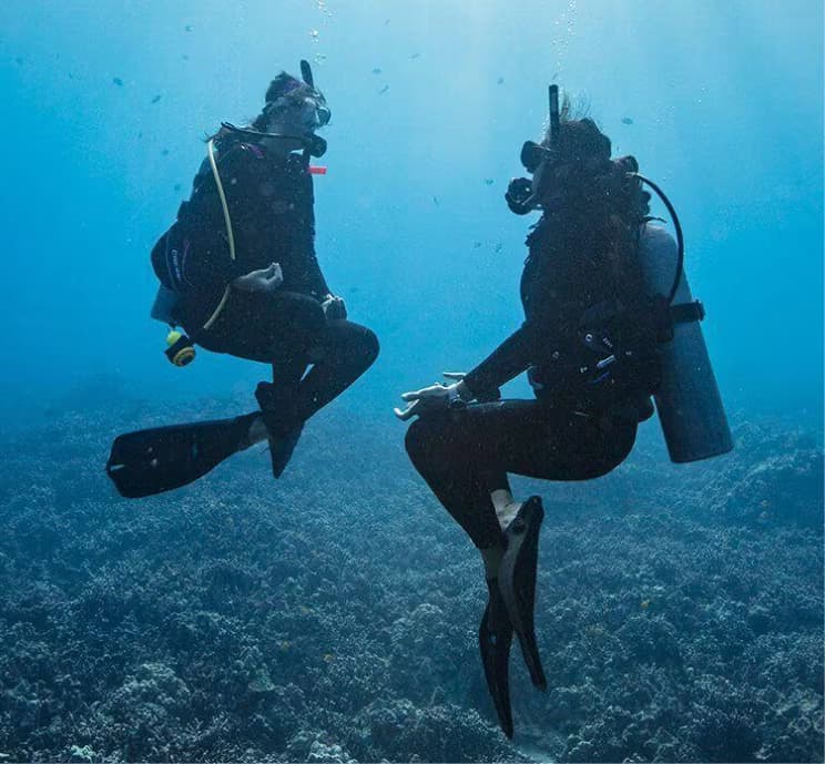 Taucher schwebt neutral tariert über einem Riff im Roten Meer