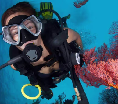 Nitrox-Flaschen bereit für einen Specialty-Kurs bei Blue Brothers Diving