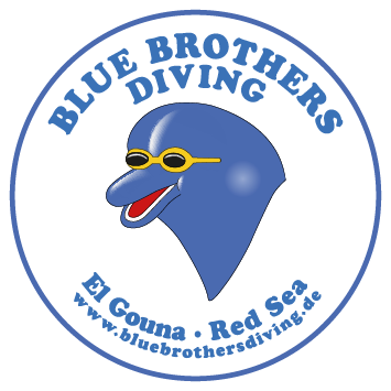 Blue Brothers Diving Logo